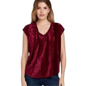Dear John Yanis Burgundy Purple Velvet Blouse